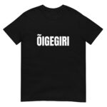ÕIGEGIRI - Pilt 2