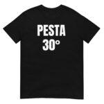 PESTA 30° - Pilt 2