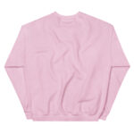Aeroplane Cartoon Unisex Sweatshirt - Pilt 20