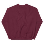 Aeroplane Cartoon Unisex Sweatshirt - Pilt 6
