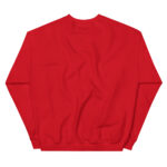 Aeroplane Cartoon Unisex Sweatshirt - Pilt 8